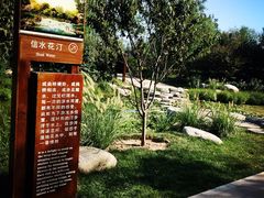 -武清南湖绿博园