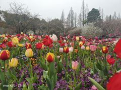 -苏州上方山国家森林公园