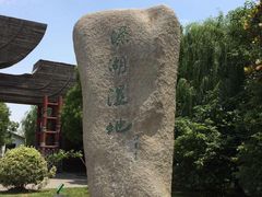 -溱湖国家湿地公园