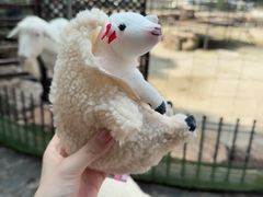 -神户市立六甲山牧场