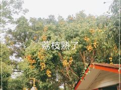 -晓雯人家