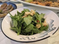 穿心莲拌鸟贝-渔娘渔家丹东海鲜(东直门店)