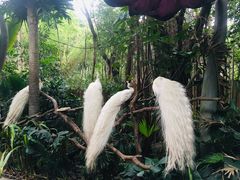 -广州长隆野生动物世界
