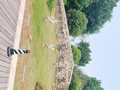 -琅岐红光湖公园