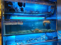 -協成海鮮火鍋(老店)