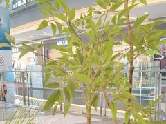 -快乐爱斯米牛排·寿喜烧自助(亿合城店)