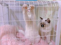 -宠颐生中康贝怡动物医院