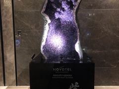 -玄武苏宁诺富特酒店·紫金轩中餐厅