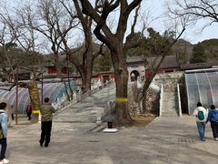 -红螺寺
