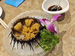 -老大连·海肠捞饭·大连海鲜大连菜(西安路店)