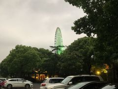 -君来湖滨饭店·玫瑰园