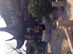 -祝家花園(伯渎港店)
