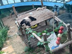 -大连森林动物园