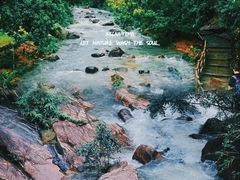 -广州白江湖森林公园