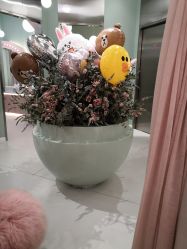 -好看加白色房子