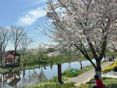 -长田漾湿地公园
