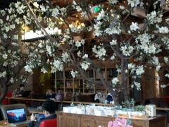 -山有花啡餐厅(常营总店)