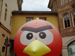 -中旅阿那亚九龙湖·公主酒店