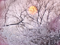 -北京明城墙遗址公园