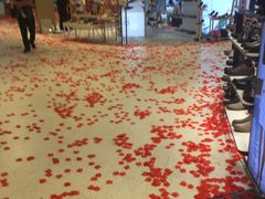 -天虹购物中心(石路店)