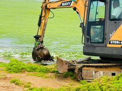 -日照灯塔风景区