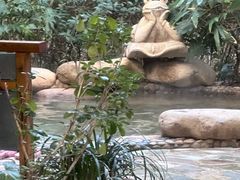 -天目湖涵田半山温泉