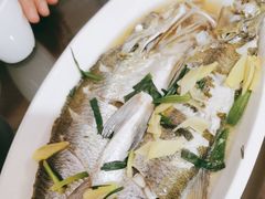 清蒸白鱼-观桥阁(锦溪店)