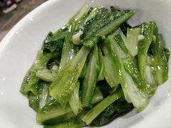 油麦菜-笨罗卜浏阳菜馆(富家湾小区店)