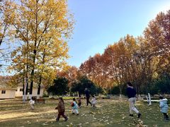 -惠洛克国际儿童之家(绿博园中心)
