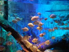 -沈阳海洋探索中心