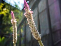 -广州市紫泥堂文化创意园景区