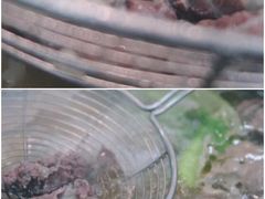 -乌记鲜活牛肉城(金砂东路店)