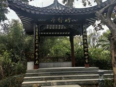 -四海公园(南山区)