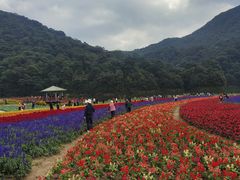 -广州市石门国家森林公园