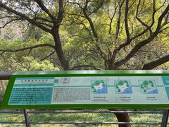 -西湖风景区-江洋畈生态公园