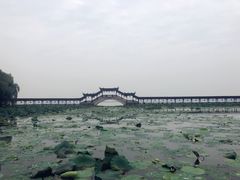 -观桥阁(锦溪店)