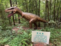 -森波拉奇妙世界