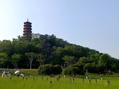 -红花山公园