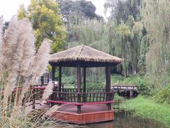 -成飞公园