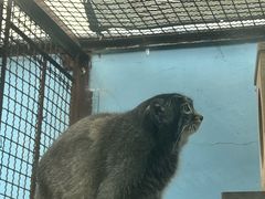 -青藏高原野生动物园