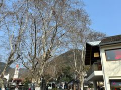 -莫干山风景区