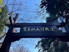 -紫金山山顶公园