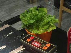 -古乐牛香·鲜牛肉牛杂火锅(五一中路店)