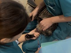 -美迦爱-牙专科·兔科·骨科诊疗中心(北苑店)