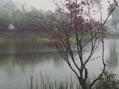 -天目湖涵田半山温泉