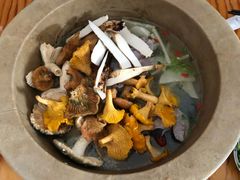 -七采菌园·石锅鱼野生菌火锅(环城北路店)