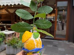 -Grand James·地中海bistro(百家湖1912店)