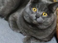 -子乐宠物医院