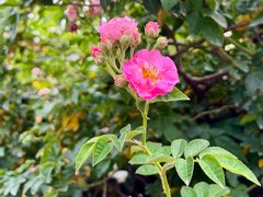 -人民公园(罗湖区)