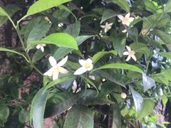 -虹桥河滨花园会所游泳馆